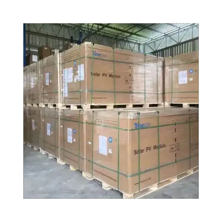 Mono PERC Bifacial Solar Panelpackaging