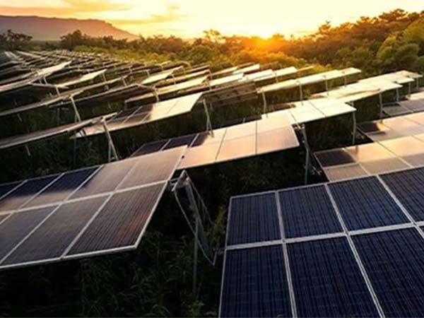 solar-energy-storage-solutions solar-energy-storage-solutions